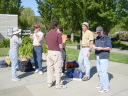 DSC05834.JPG