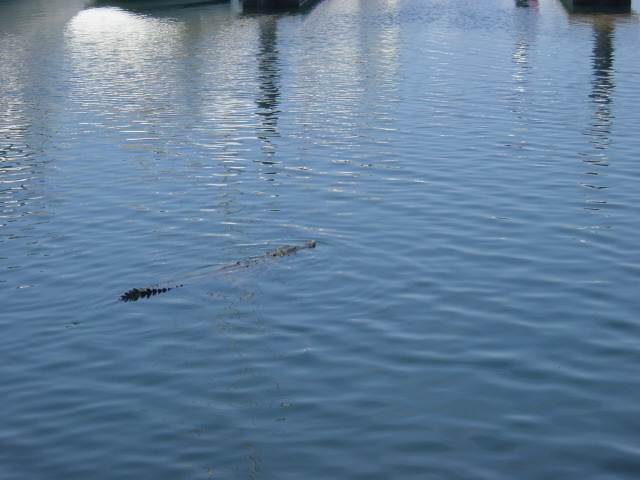 dsc06211.jpg